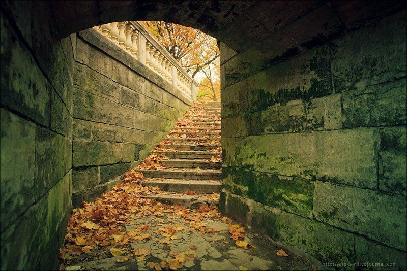 гатчина,осень,октябрь Гатчина. фото превью