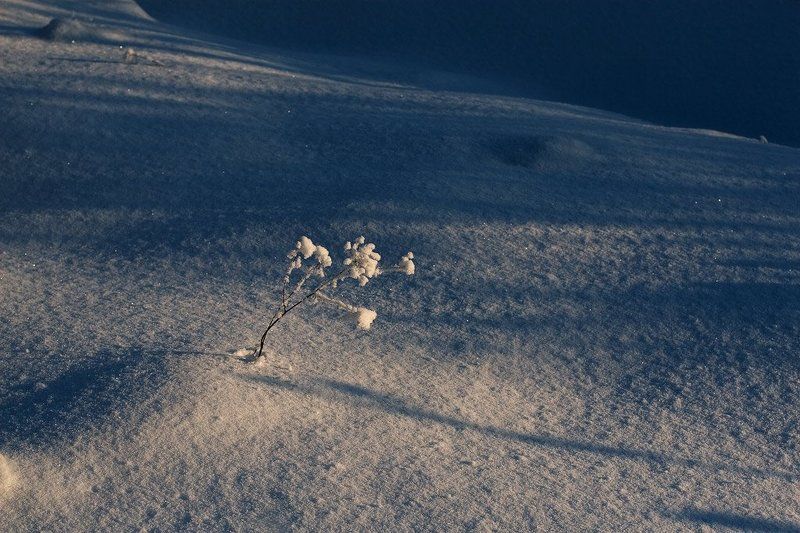 куда ты, солнце !!?? фото превью