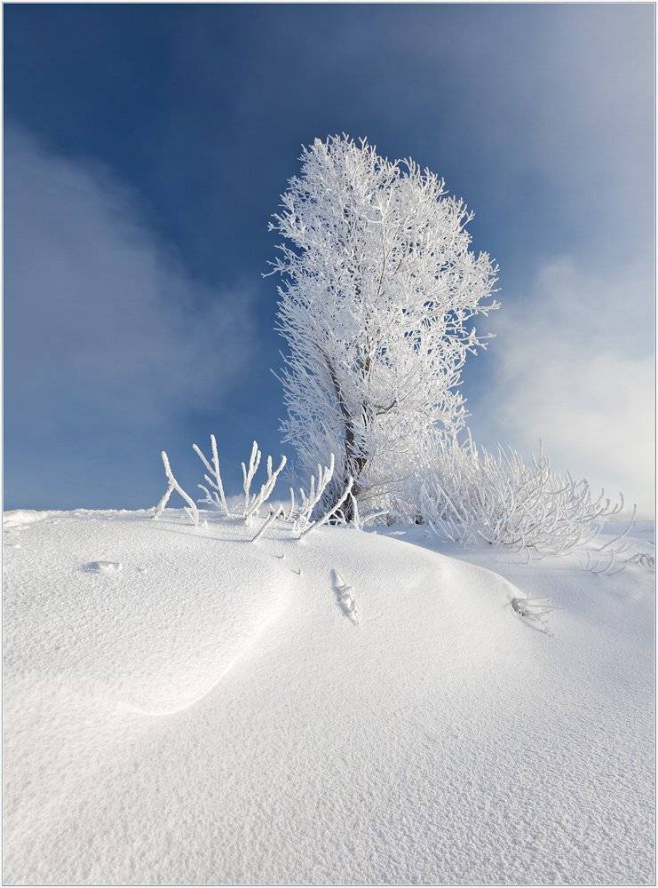 мороз, и, солнце, день, чудесный, izh Diletant (Валерий Щербина)