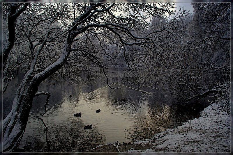 * * * * * фото превью