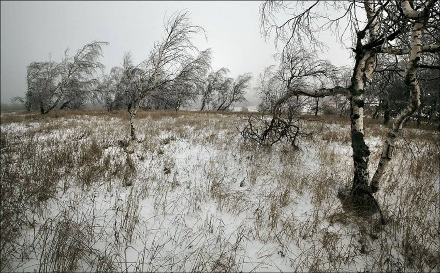 , Андрей  Золочевский