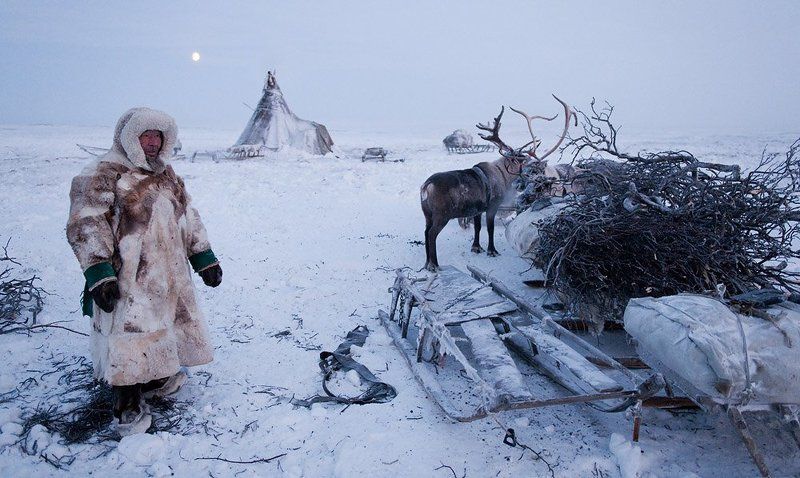 жизнь на краю земли, ненцы, жанровый портрет, север где-то на просторах Тазовской тундры фото превью