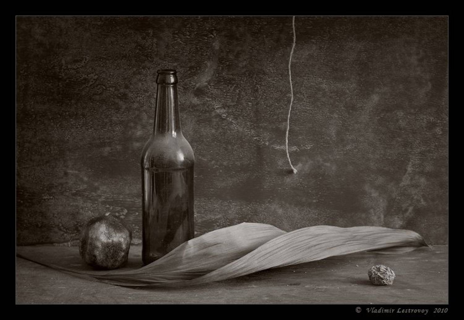 , Владимир Лестровой