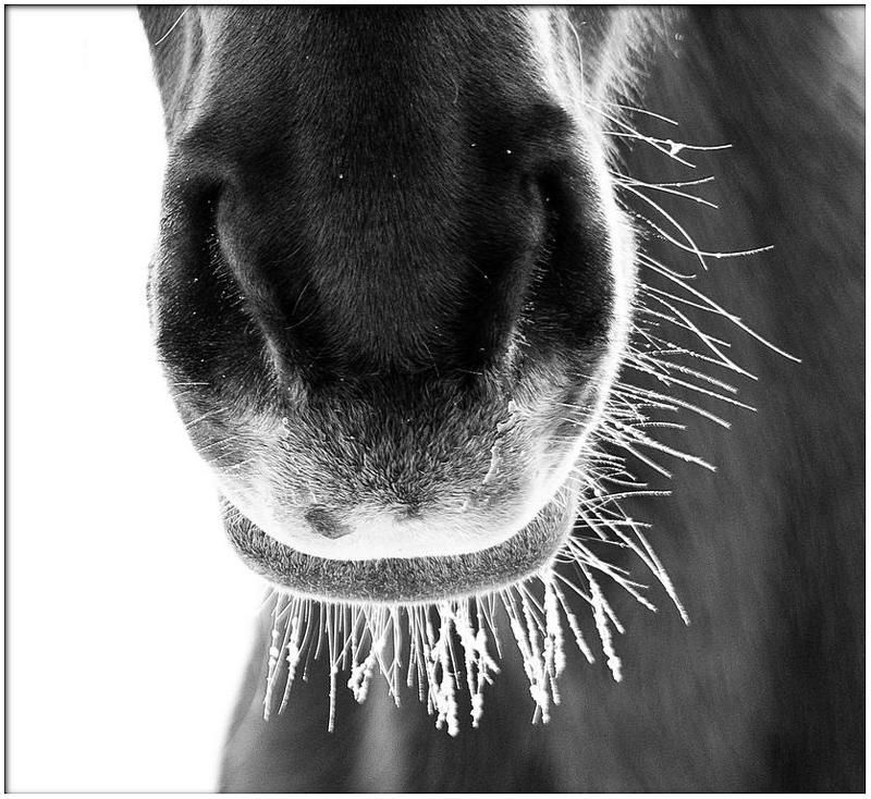 Инопланетянин 2 фото превью