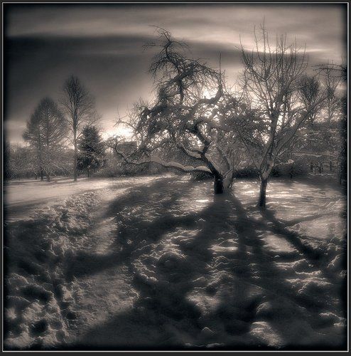 Зимний этюд