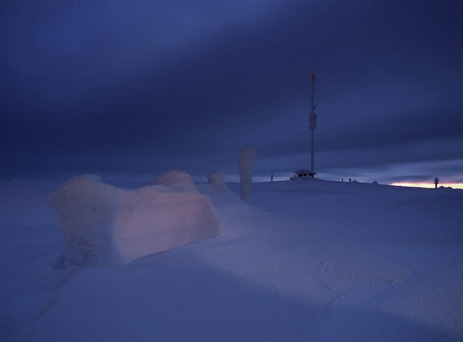 , Максим Евдокимов