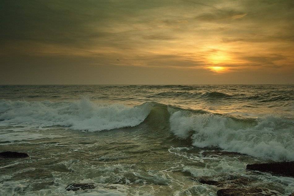 , Sergey Dimchenko