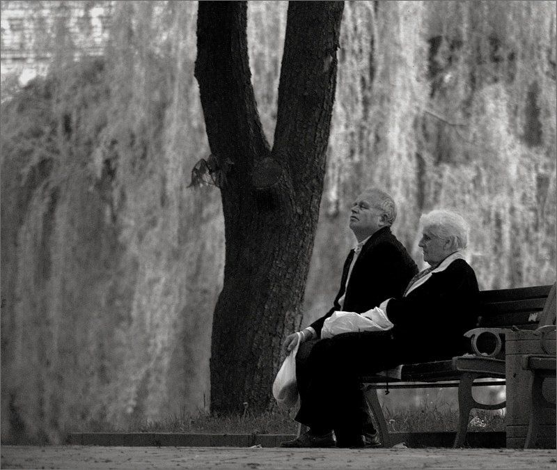 ***** фото превью