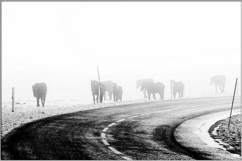Домой фото превью