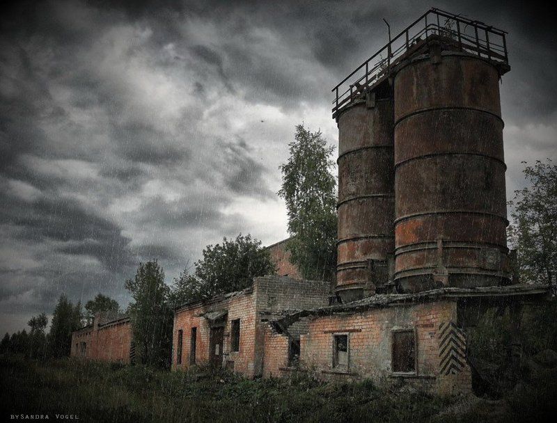 shade,heart shade of my heart фото превью