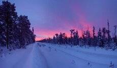 Зарождался день...