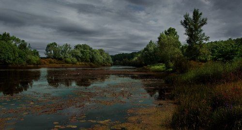 Есть в графском парке чёрный пруд