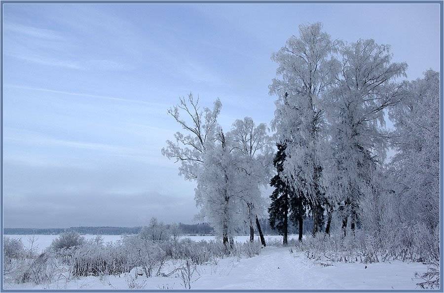 зима,лес,иней, Солодухин Виктор