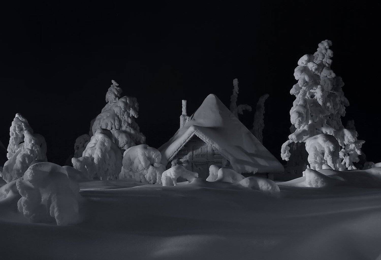 , Максим Евдокимов