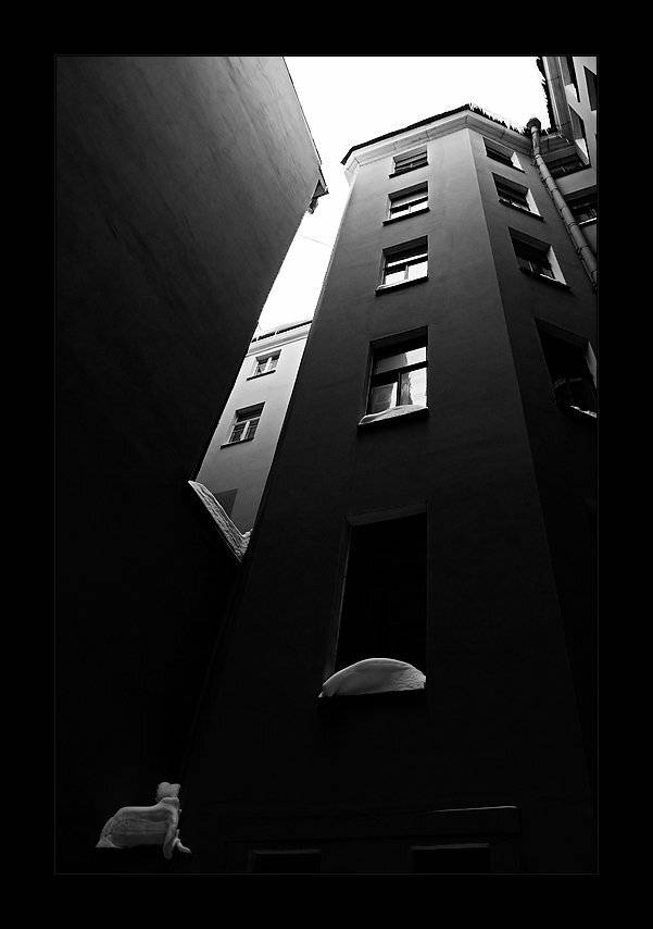 петербург, центр, Kirill Shapovalov