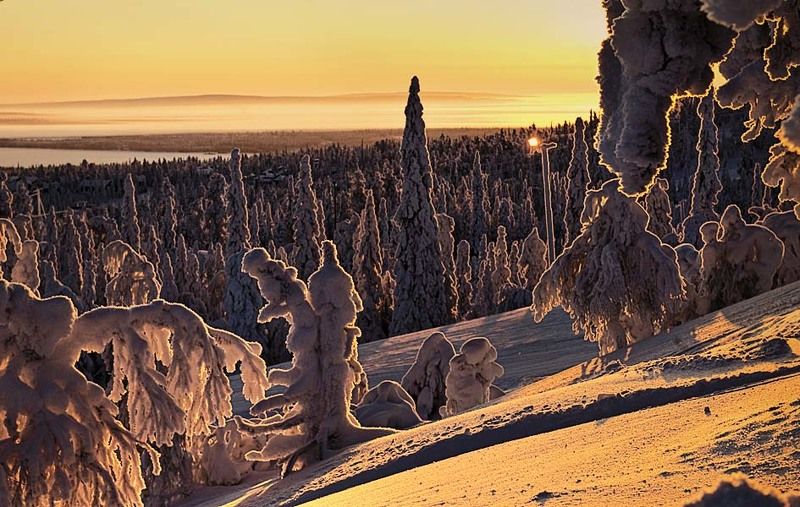 спектакль, зима, снег, деревья сказка, финляндия Финал, немая сцена... фото превью