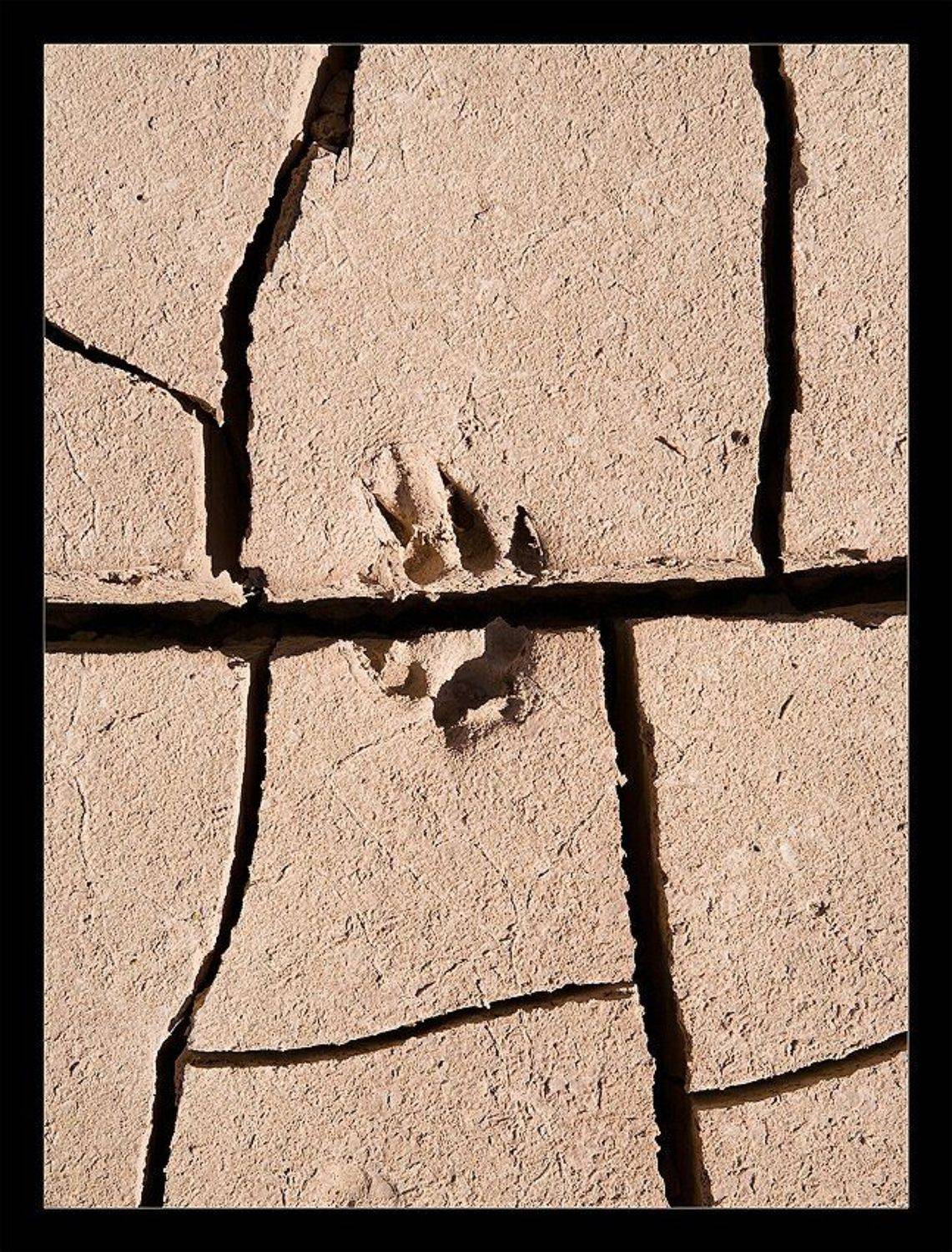 один, шаг, Нарчук Андрей