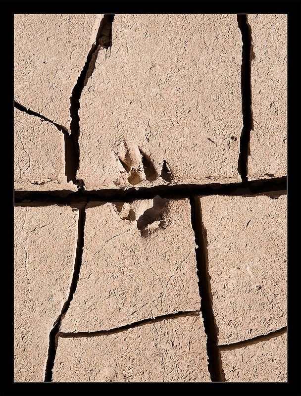 один, шаг Один шаг фото превью