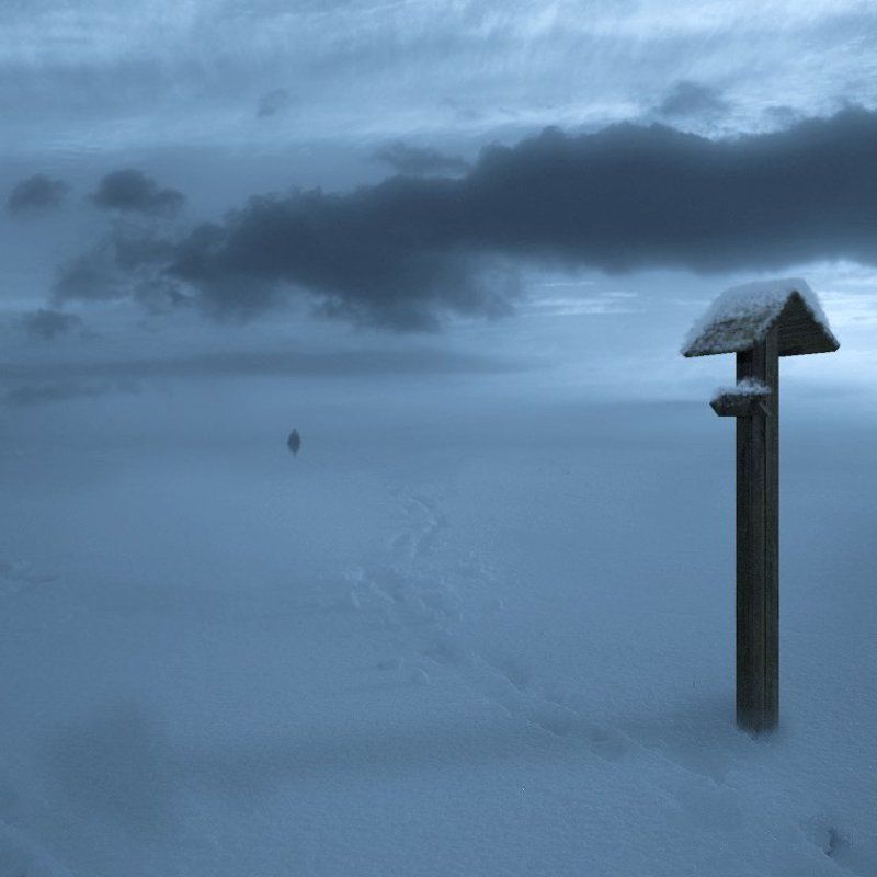 В никуда. фото превью