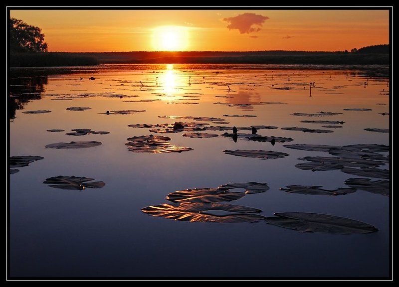 ---- фото превью