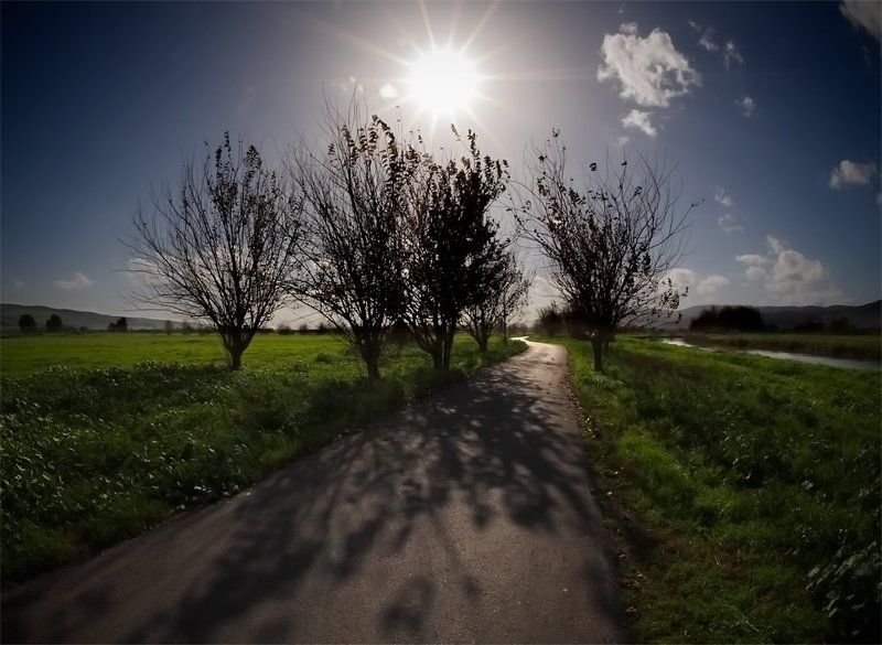 Дороги осени фото превью