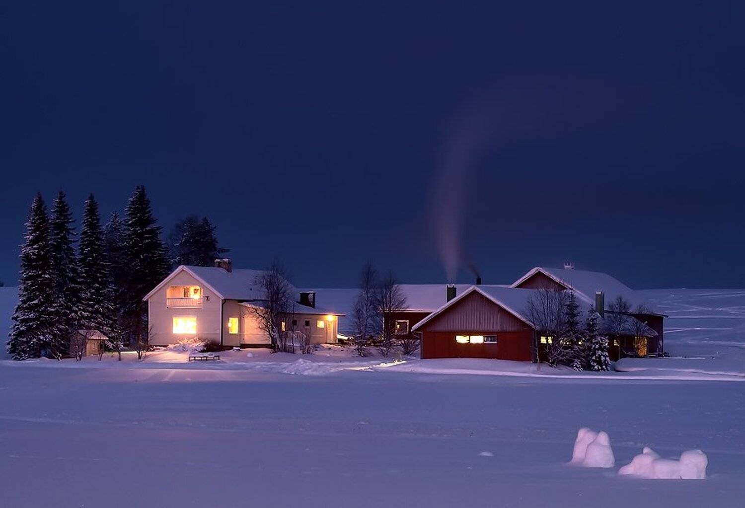 , Максим Евдокимов