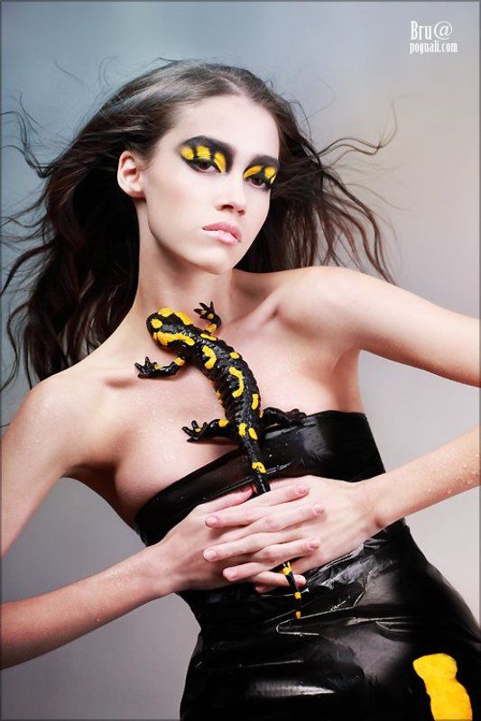 саламандра, девушка, тигр Саламандра фото превью