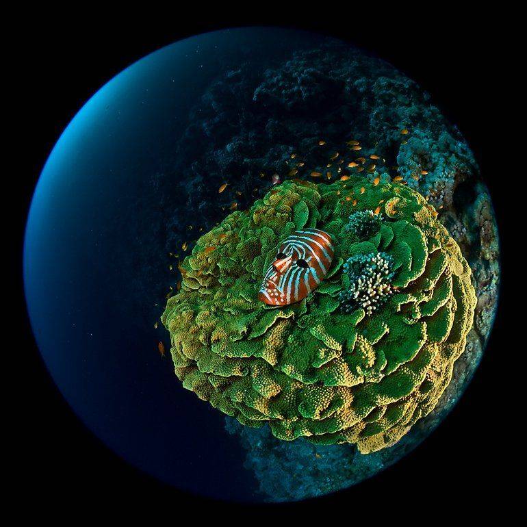 , Сергей Шанин