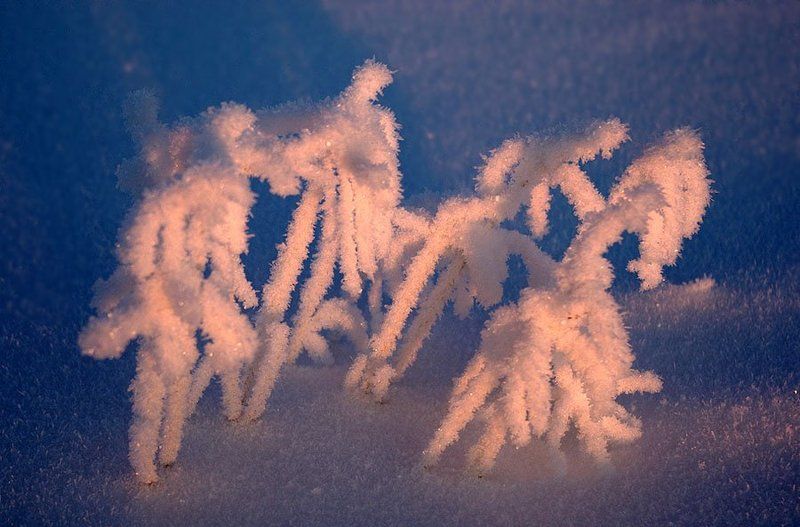 Театр Зимы фото превью