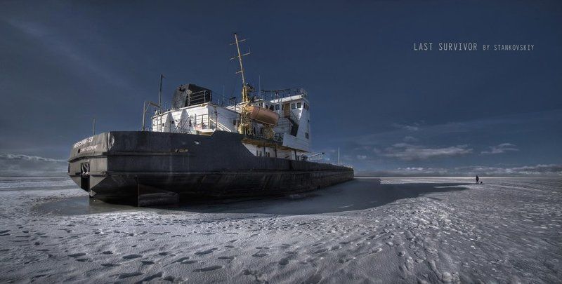 last survivor фото превью