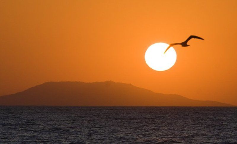 sunrise фото превью