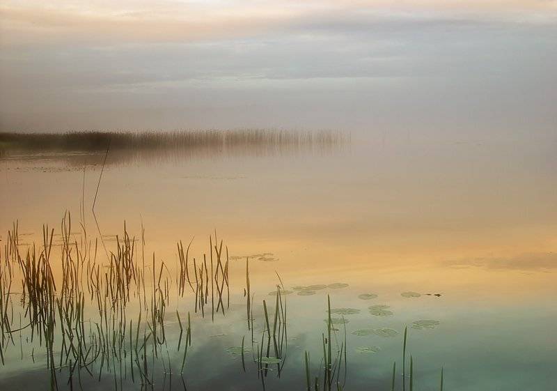 июльское, утро, пудица, Валентин