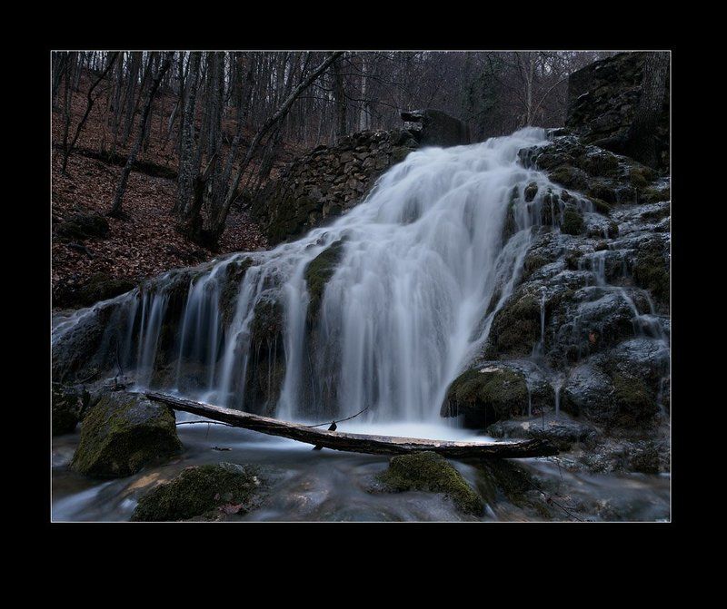 вода,лес,камни у каскада фото превью