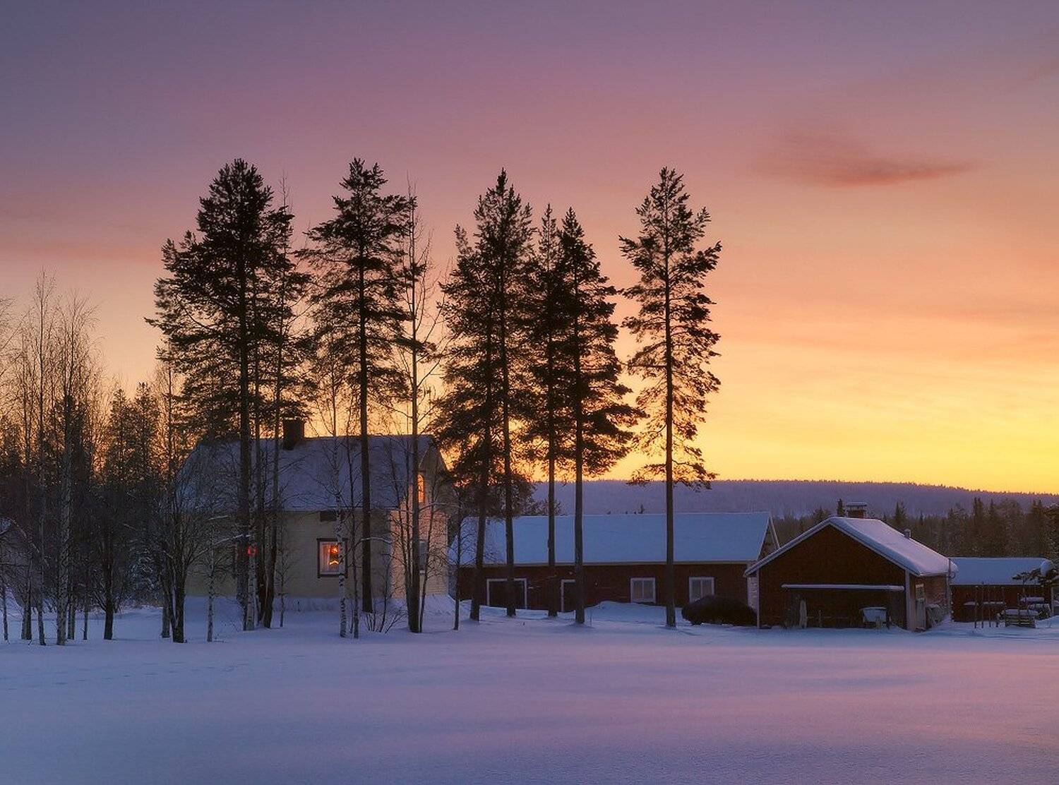, Максим Евдокимов
