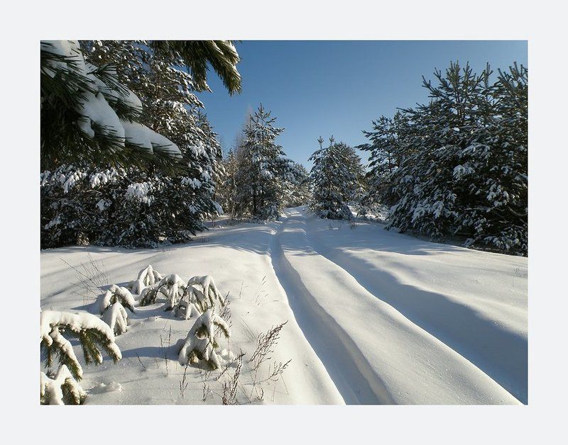 * * * фото превью