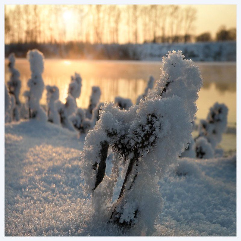 * * * фото превью