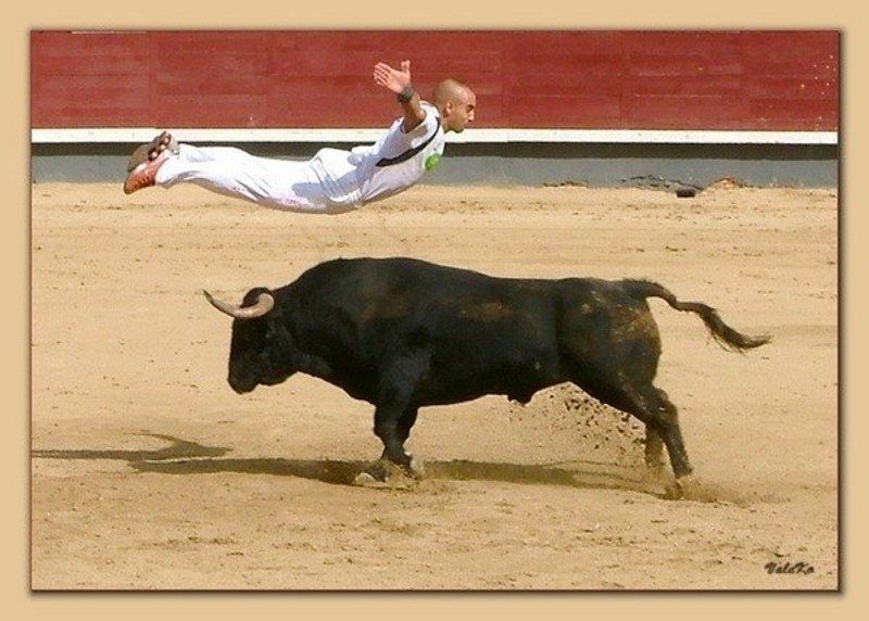 мадрид, испания, рекорте, корида, спорт, репортаж, бык. БыкоМатрица. фото превью