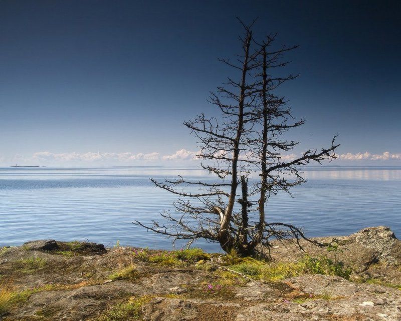 Трудно выжить в Северном краю фото превью