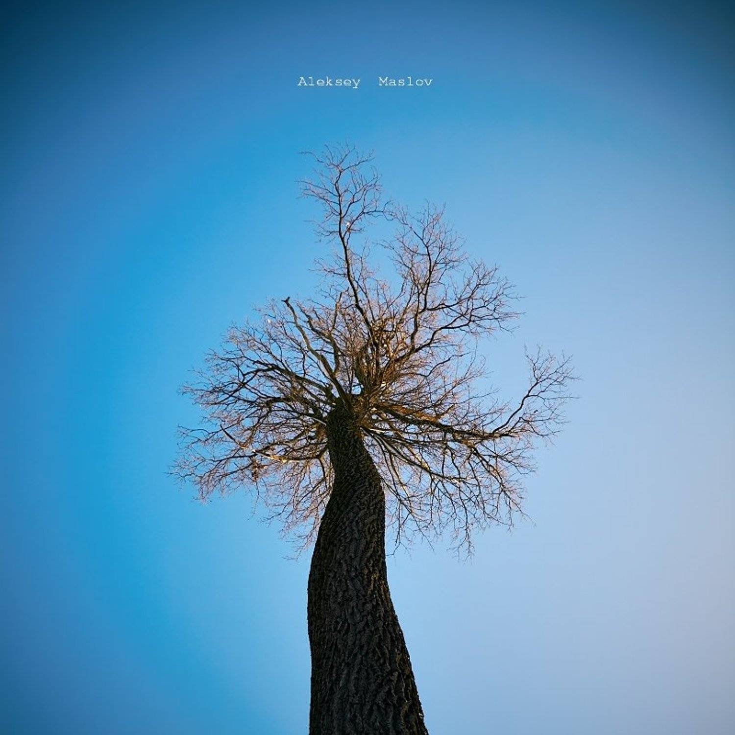 , Алексей Маслов