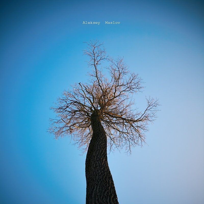 science фото превью