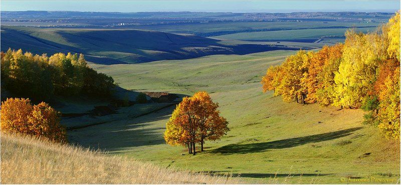 ******** фото превью