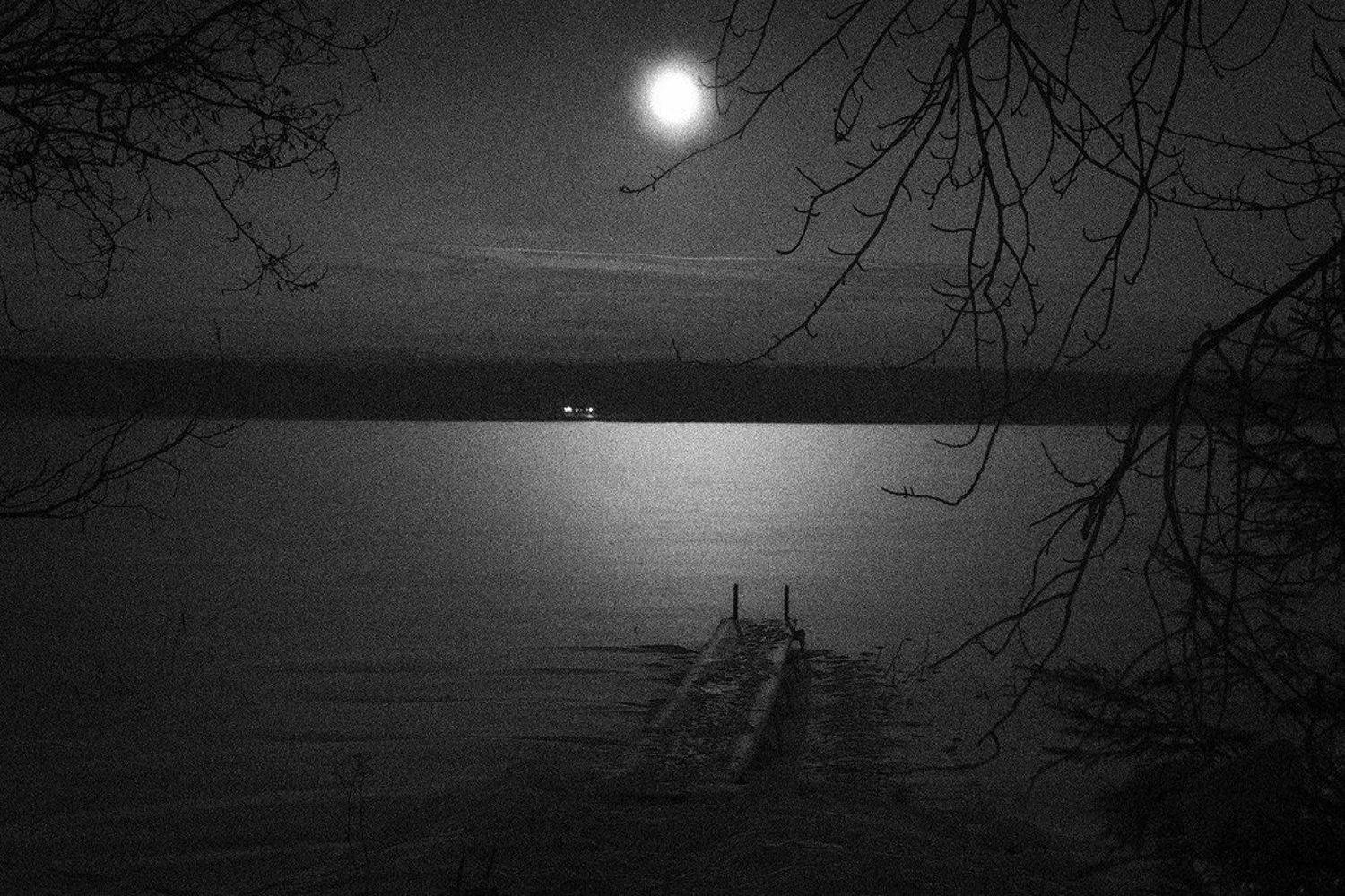 , rAdis (Дмитрий Станякин)