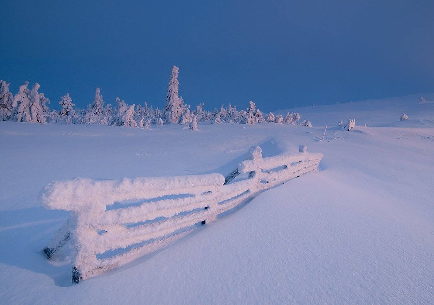 , Максим Евдокимов