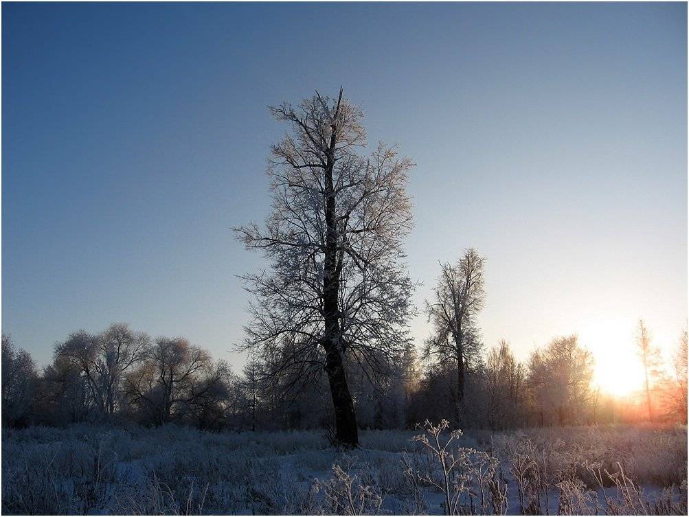 закат, КарОл