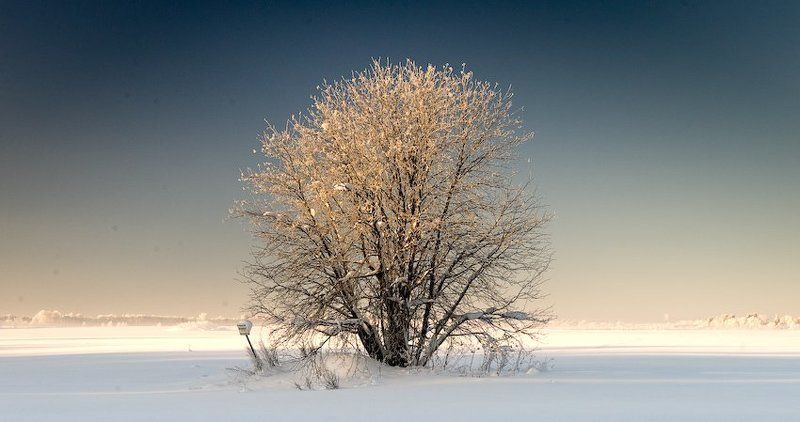 зимний минимализм (2) фото превью