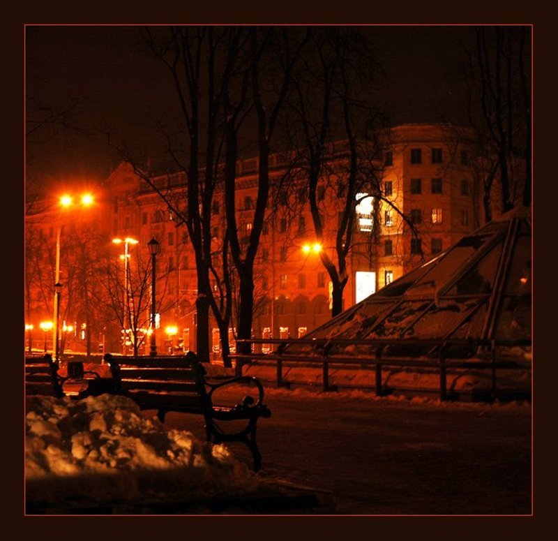 Ночь в зимнем парке фото превью