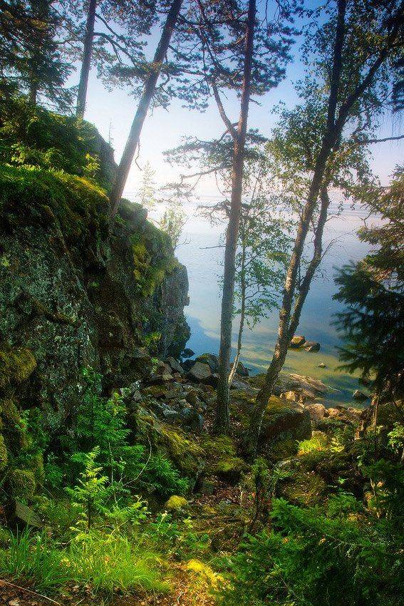 , Viktor Kalechenkov