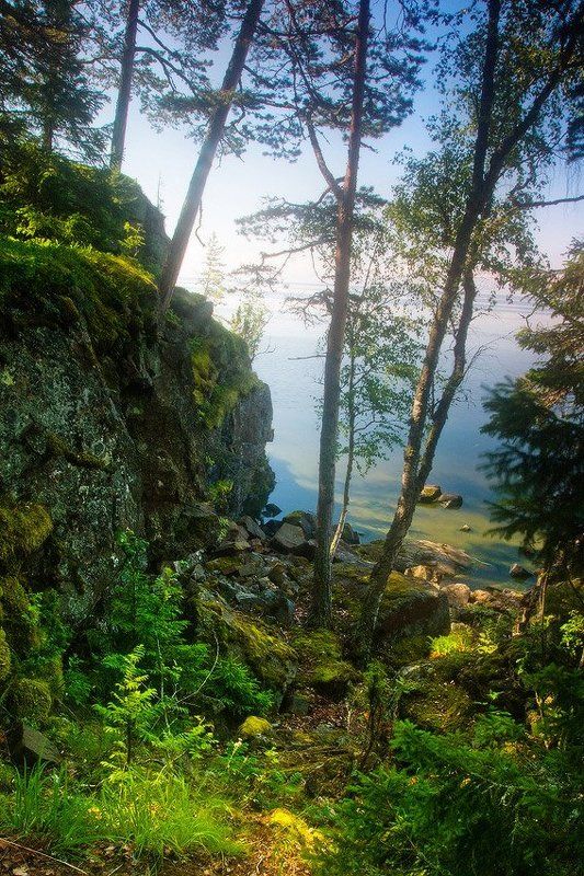 Свет и тень. Скалистый берег. фото превью