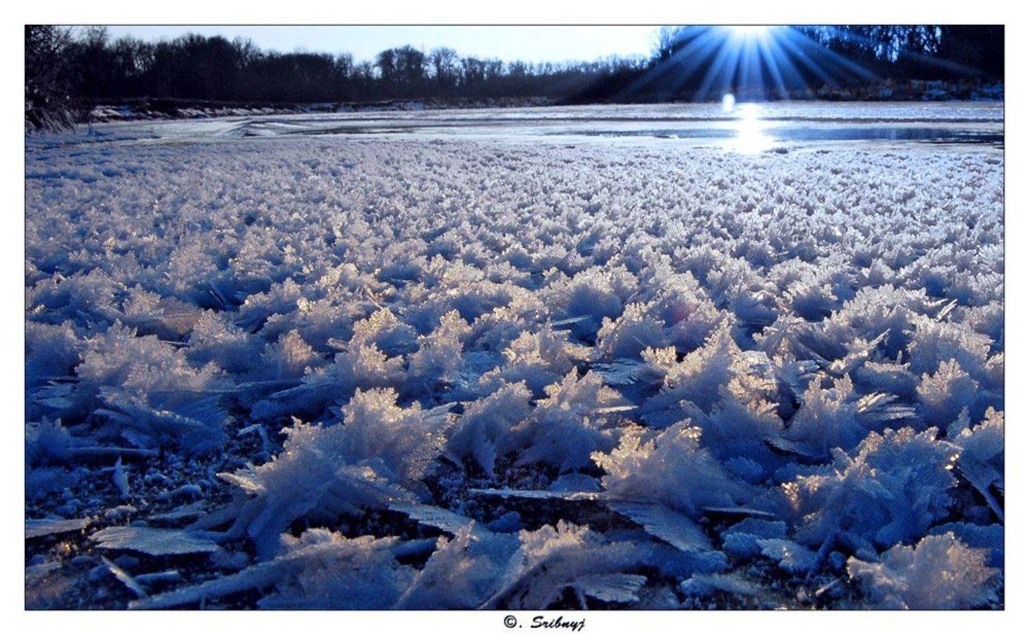 , Срибный Евгений