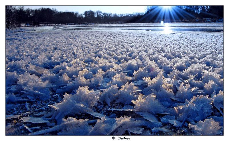 The snow world... фото превью